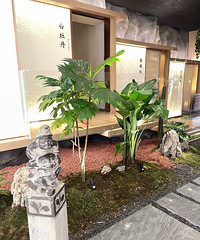 [嵥]ʼ俧ˣֿʼϺȲˣȥҲ