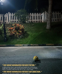 �������Ž��ռ�¼����������Ƭ