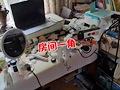女孩985毕业却…