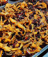 ����������������ơ�