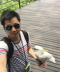 33175CM̵ĸ飬ϣԷ90~96