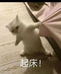 ������ֵ���򡿽�ԭ���۵�Һ39�� ���󴽸�2֧14.9