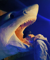 95173CMЫӪС飬ϣԷС