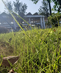 94183CMĹС飬ϣԷ157