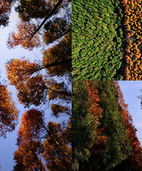 ��Ը������Ϊ�ܱ��ﾰ��TOP��������