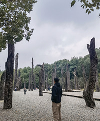 95173CM̵ĻӪС飬ϣԷС