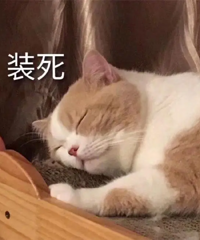 �μ������ѵļ�ͥ�ۻᣬһ���ſ�����ǰ����