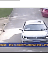 母亲虎口救女反被咬死,这事7年了