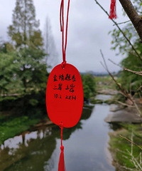 菜鸟妈和菜鸟女儿的升学之路,开启早培模式