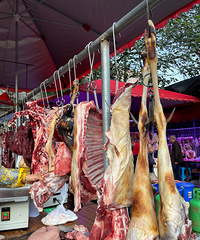 С���ſڵĸϳ������ԣ���һ�ֻص���ʱ�ĸо�