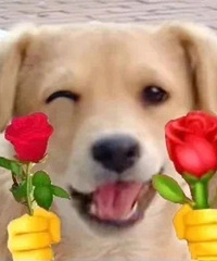 ��Ҿ������Ҹ���ĵģ��������е�ʲôʱ��