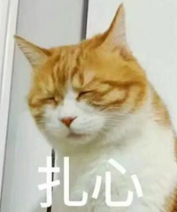 你们遗传到了父母的什么劣质基因?