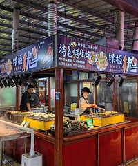 11�³ԳԺȺȷ����������������ĺ��ʵ���������ֺ����