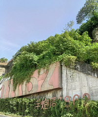 ̵5ߺͽѺ޵ĵطչȥˣ