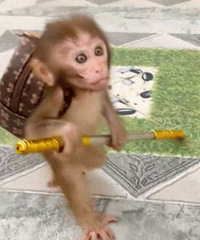 ������ֵ��������е�ֺ�ˮ����װ57��ǿ��˫����6Ƭ39