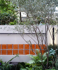 160O԰깤ɫĲשǵ㾦֮