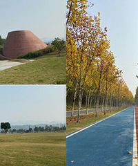 ȫ�̲���ˣ�������������ֻ����ĵط�