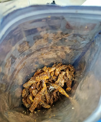 ����ʳ���֣�������Ƥ�����ִ�࣬����ζ����ζ