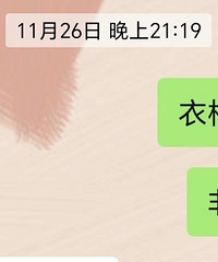 自己动手系列:修好了衣柜门
