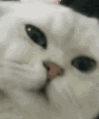 ������ֵ������ֻ���ӷ����޼Ҿӷ�38���ú��Ӷ�ͯ���޷�96