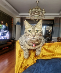 91176CMС飬ϣԷ90~97