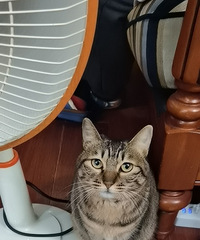 91176CMС飬ϣԷ90~97