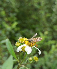 90갮Լݺ¶Ӫĸ飬ϣԷ87~95