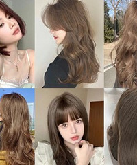 2023���е�Ⱦ���ϼ�����