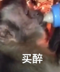 ������ֵ����Cath����˪5֧29�������������ͯЬ89