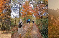 ͺҶ컨壬ײɽͽҰȥ