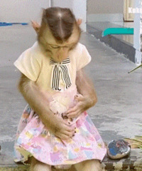 ������ֵ���򡿰�֮����޼Ӻ�˯����װ100������ů�ֱ�29