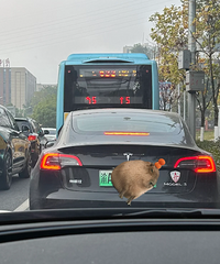 �������칫���������Ի�����Ҳ�������ڴ󳵺��濴�������̵���
