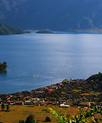 90갮Լݺ¶Ӫĸ飬ϣԷ87~95