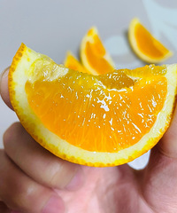 ���˺���һ����ֻϲ���Դ��������𣿸������Ƽ�һ��