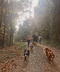 �山���걬���ͽ���أ�������Ϣ���ʺ����ӡ��޹�