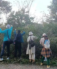 渝北爆火徒步地,一路打野赏景美绝了