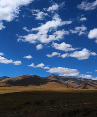 90갮Լݺ¶Ӫĸ飬ϣԷ158