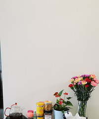 һ�����͵�����