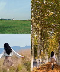 ���ǡ���԰��̫��Ƭ�ˣ����ش����˶�