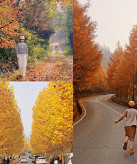 �ܱ�ͽ����ɽ·�߰������������޻��ܴ�Ұ