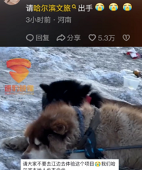 񶬵һ´Ϸˣʵ̫ɰ˰