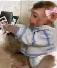 ������ֵ����������ʿ���޿�68���������Ϸ�3��29