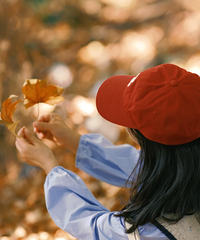 ���չ�԰���ģ����Ͻ�Ƭ��Χ�У���¶���õ���Ƭ