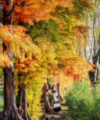 ����������ͷ̫�����ˣ�û�˵�С�ڻ�λ�����ֳ�Ƭ