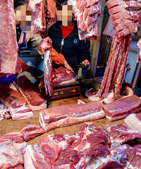 �������ʲô��Ҫ������ �㳦��������