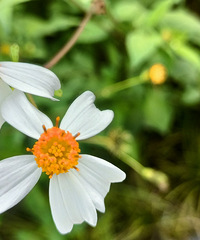 90갮õ㡢Լݺ¶Ӫĸ飬ϣԷ87~95