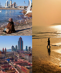 ���յ��ൺ�����˾�����ô������Щ�򿨻�λ�����