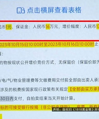 300多平豪宅1元起拍!她拍到了,一看金额傻眼了