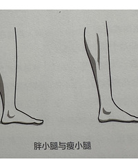 想瘦小腿的进!这个逻辑你懂了之后,才能真正达到想要的效果