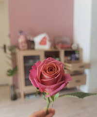 30+����С���������ճ�����˯�����İ��顢��ˮ��������